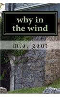 why in the wind