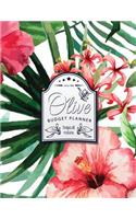 Olive Budget Planner