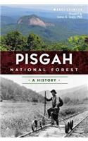 Pisgah National Forest