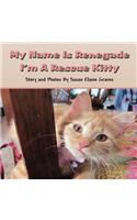 My Name Is Renegade