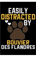 Easily Distracted by Bouvier Des Flandres