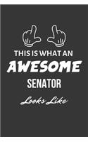 This Is What An Awesome Senator Looks Like Notebook