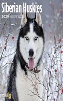 SIBERIAN HUSKIES CALENDAR 2020