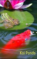 Koi Ponds: Customized Compact Koi Pond Logging Book, Thoroughly Formatted, Great For Tracking & Scheduling Routine Maintenance, Including Water Chemistry, Fish