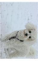 Bichon Frise Dog Standing in the Snow Journal: Take Notes, Write Down Memories in this 150 Page Lined Journal