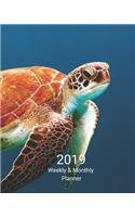 2019 Weekly and Monthly Planner: Turtle Daily Organizer -To Do -Calendar in Review/Monthly Calendar with U.S. Holidays