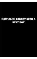 How Can I Forget Such a Sexy Boy: Unruled Notebook