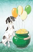 English Pointer