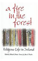 Fire in the Forest