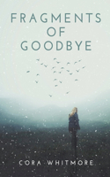 Fragments of Goodbye