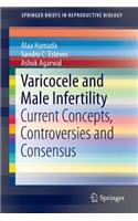 Varicocele and Male Infertility