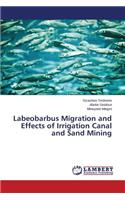 Labeobarbus Migration and Effects of Irrigation Canal and Sand Mining