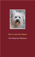 Hund aus Flandern