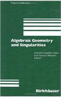Algebraic Geometry and Singularities
