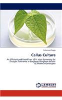 Callus Culture