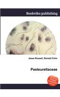 Pasteurellaceae