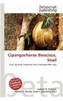 Cipangocharax Biexcisus, Snail: (English)