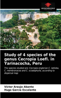 Study of 4 species of the genus Cecropia Loefl. in Yarinacocha, Peru