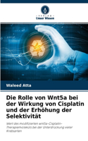 Rolle von Wnt5a bei der Wirkung von Cisplatin und der Erhöhung der Selektivität