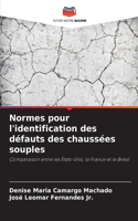 Normes pour l'identification des défauts des chaussées souples