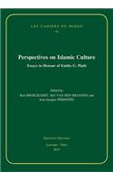 Perspectives on Islamic Culture