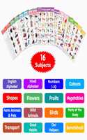 My First ALL IN ONE SPIRAL CHART ENGLISH-HINDI : With 16 Topics ( Big Fonts and Realistic Pictures) | Gift Set For Kids