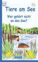 Tiere am See: Wer gehört nicht an den See?