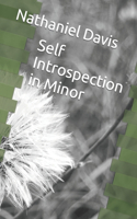 Self Introspection in Minor