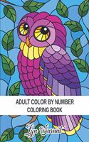 Adult Color By Number Coloring Book