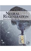 Neural Regeneration