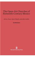 The Open-Air Churches of Sixteenth-Century Mexico