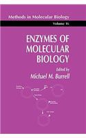 Enzymes of Molecular Biology