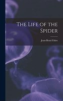 Life of the Spider