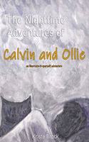 The Nighttime Adventures of Calvin and Ollie: an illustrate-it-yourself adventure