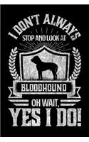 I Don't Always Stop and Look At Bloodhound OH Wait, Yes I Do!