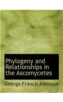 Phylogeny and Relationships in the Ascomycetes