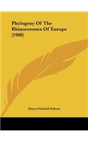 Phylogeny of the Rhinoceroses of Europe (1900)