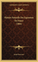 Histoire Naturelle Des Equisetum De France (1864)