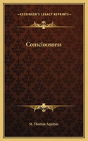 Consciousness