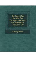 Beitr GE Zur Kunde Der Indogermanischen Sprachen, Volume 30: (German)