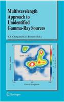 Multiwavelength Approach to Unidentified Gamma-Ray Sources: A Second Workshop on the Nature of the High-Energy Unidentified Sources