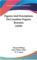 Figures and Descriptions on Canadian Organic Remains (1858)