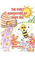 First Adventure of Baby Bee