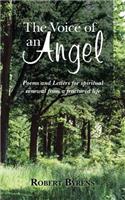 Voice of an Angel: Poems and Letters for Spiritual Renewal from a Fractured Life