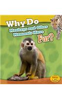 Why Do Monkeys and Other Mammals Have Fur?
