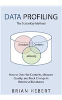 Data Profiling: The Scribekey Method