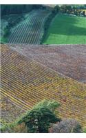 Aerial View of Fields in Provence France Journal