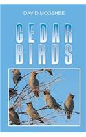 Cedar Birds