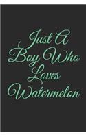 Just A Boy Who Loves Watermelon