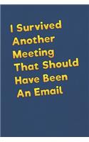 I Survived Another Meeting That Should Have Been An Email